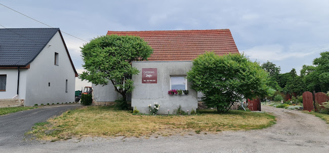 Comentarii opinii despre Catering Lusi