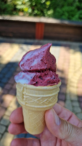 Opinii despre Lody Tradycyjne. W. Bachta în Zwierzyniec - Gastronomia