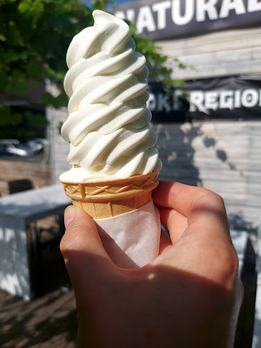 Kraina Naturalnych Lodów - Ustroń