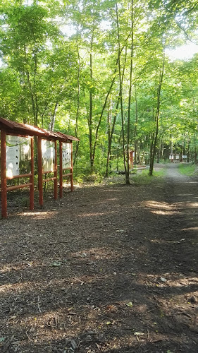 Opinii despre Restauracja Rozkówka în Będzin - Gastronomia