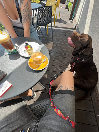 Kawiarnia Lokalnie - Gastronomia