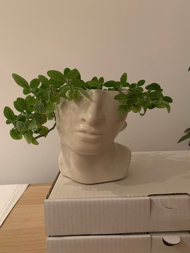 10-001 Olsztyn, Polska