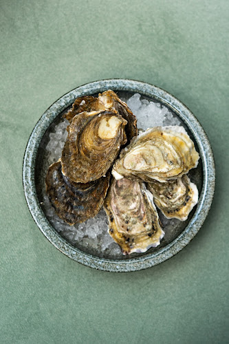 Comentarii opinii despre FOLGA