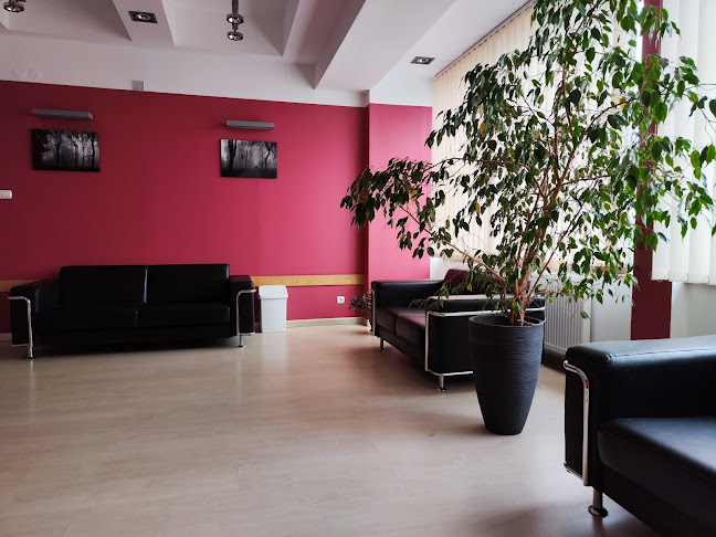 Opinii despre Restauracja Kamena în Chełm - Gastronomia