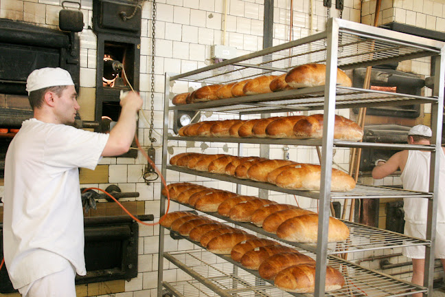 Opinii despre Piekarnia Wodnicki în Kępa - Gastronomia