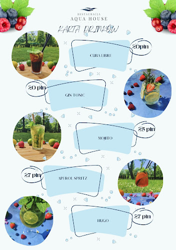 Comentarii opinii despre Restauracja Aqua House