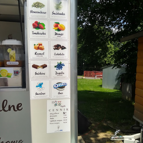 Opinii despre Lody Myszka în Polańczyk - Gastronomia