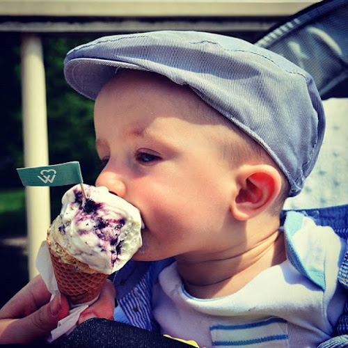 Lody Willisch - Piła