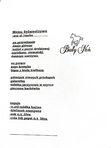 Comments and reviews of Biały Koń