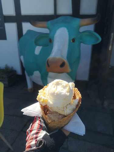 Król lody tradycyjne - Karczew - Karczew