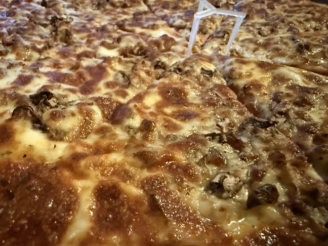 plac Wolności 12, 91-415 Łódź