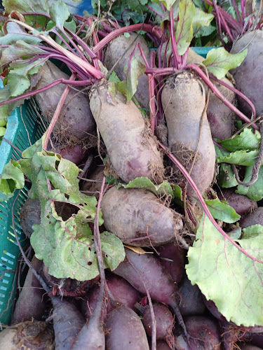 Opinii despre Targ în Kościerzyna - Gastronomia