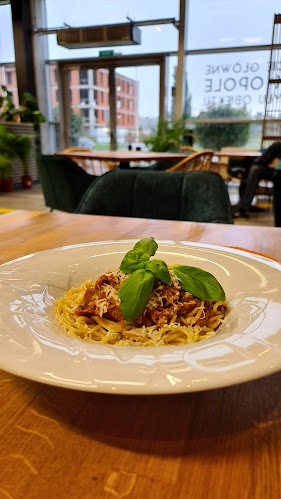 Opinii despre Restauracja CEVUKA în Opole - Gastronomia