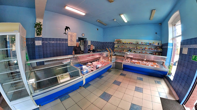 Sklep rybny -Graj Anna