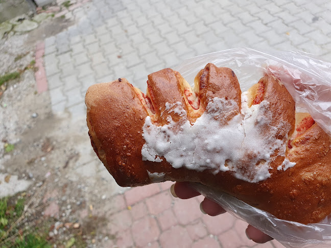 Oleksy - Piekarnia - Krynica-Zdrój