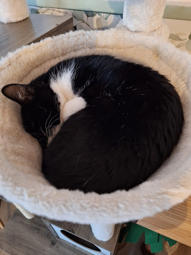 Dworcowa 52A, 44-100 Gliwice