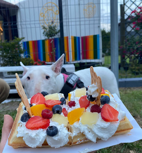 Lodziarnia Pod Kalinką - Gastronomia