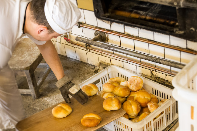Opinii despre Piekarnia Wodnicki în Kępa - Gastronomia