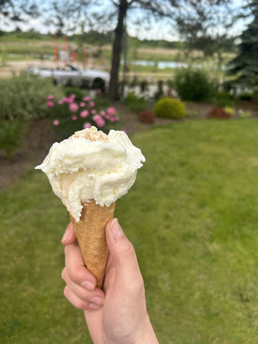 Reviews of Lodziarnia Miętove.pl in Wieliszew - Gastronomia