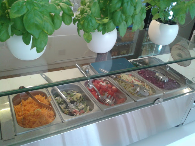 Sonia Bar Restauracja Obiady domowe Bistro Karczma - Gastronomia