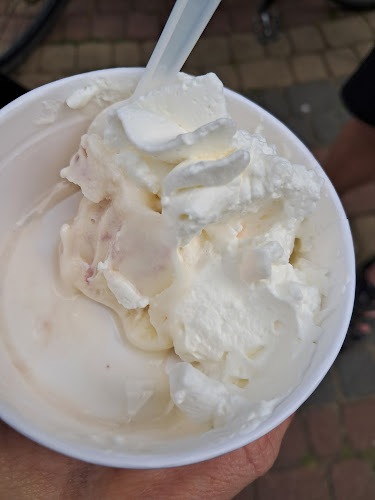 Lody Tradycyjne. W. Bachta - Zwierzyniec