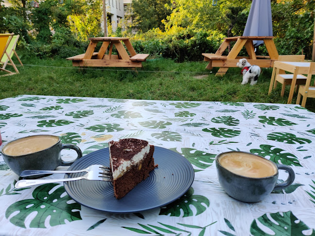 Zapuszkowane - Warszawa