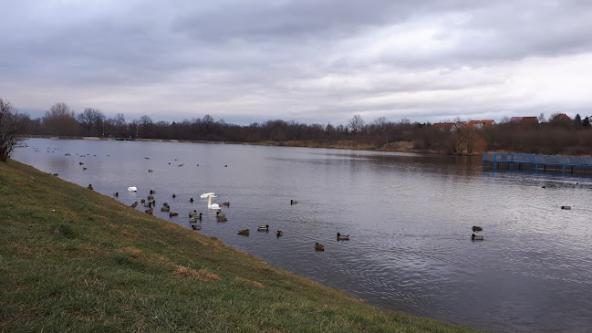 Żabka | Prosto z pieca - Gastronomia
