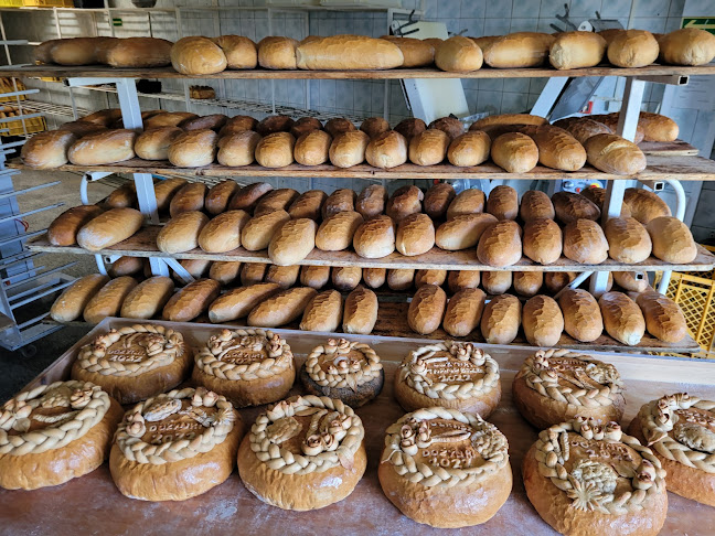 Panoramiczna 16, 27-600 Sandomierz