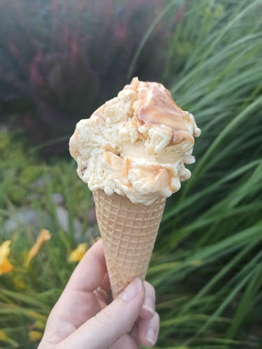 Lodziarnia Miętove.pl - Gastronomia