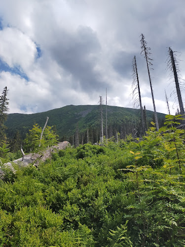 Comentarii opinii despre Pizza Miami