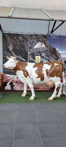 Stanisława Wojciechowskiego 33/Lokal 47, 02-495 Warszawa