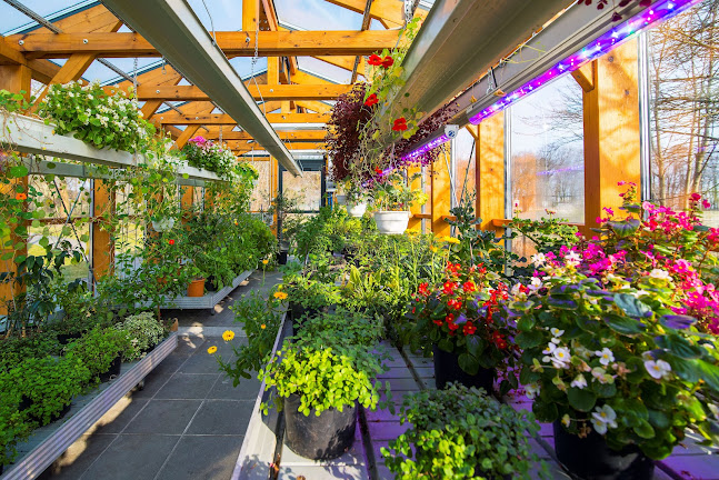 Comentarii opinii despre Restauracja Natura