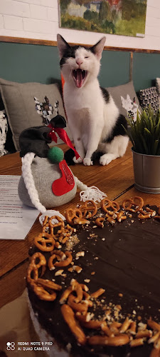 Opinii despre Kocia Kawiarnia Mruczkowo - Gliwice(7+) în Gliwice - Gastronomia