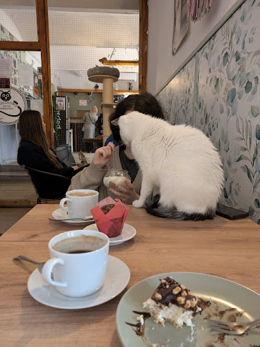 Kocia Kawiarnia Mruczkowo - Gliwice(7+) - Gastronomia