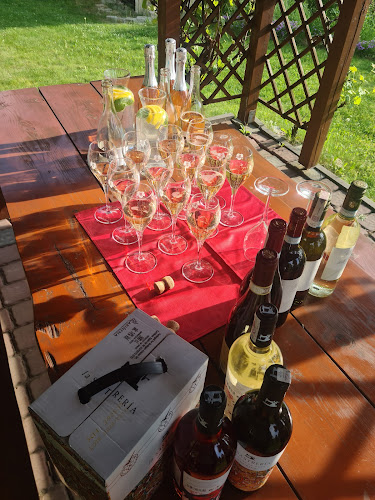 Comentarii opinii despre Winnica PATRIA