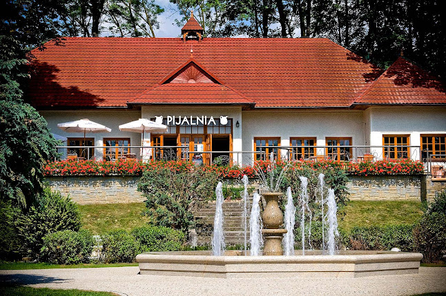 Pijalnia Artystyczna w Piwnicznej-Zdroju - Gastronomia