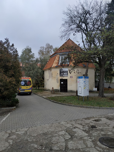 GRZYBEK - Gastronomia