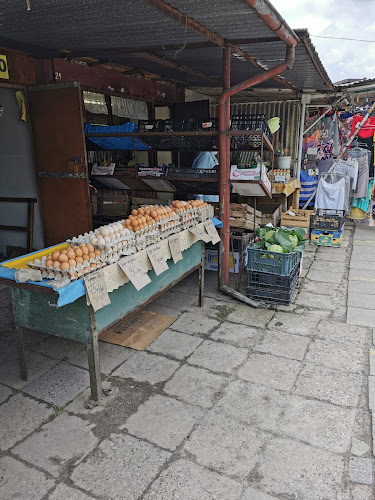 Targowisko - Gastronomia