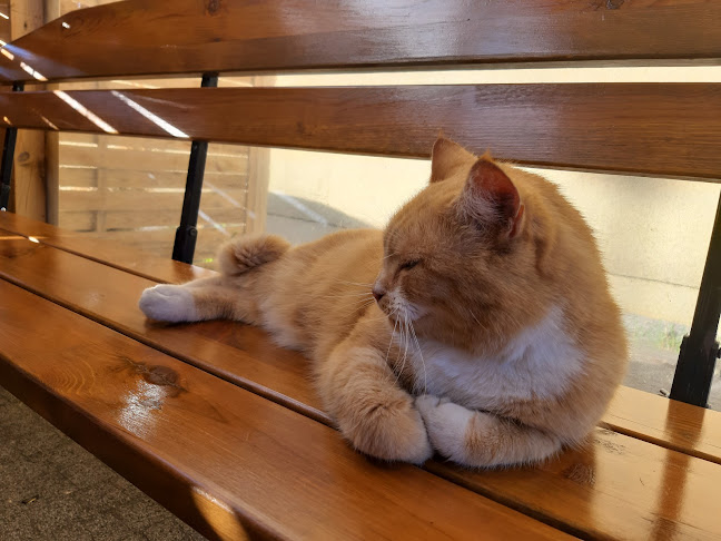 II Pułku Ułanów 2A, 72-320 Trzebiatów