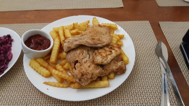 Alf-Bistro Catering dla szkół - Gastronomia