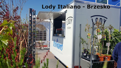 Lody Italiano