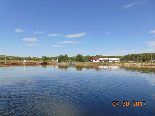 Opinii despre Smażalnia Ryb Chościszowice în Chościszowice - Gastronomia