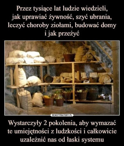 Pizzeria Syta - Gastronomia