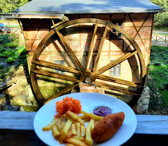 Opinii despre Diabelski Młyn în Koronowo - Gastronomia