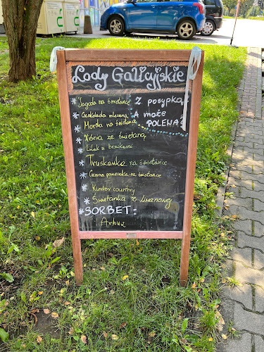 Opinii despre Lodziarnia Galicyjska - Nowa Huta în Kraków - Gastronomia