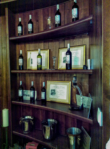 Opinii despre Winnica PATRIA în Imielin - Gastronomia