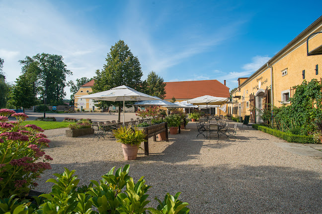 Opinii despre Restauracja Stara Stajnia în Łomnica - Gastronomia