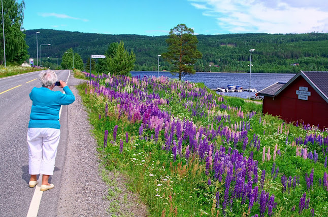 Kawiarnia Pod Aniołami - Zielona Góra