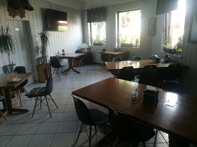 Comentarii opinii despre Dziki Burger