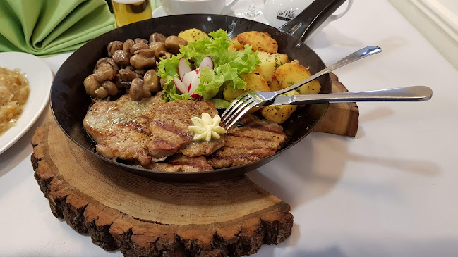 Opinii despre Restauracja Hotel Pod Dębami în Ostrów Wielkopolski - Gastronomia